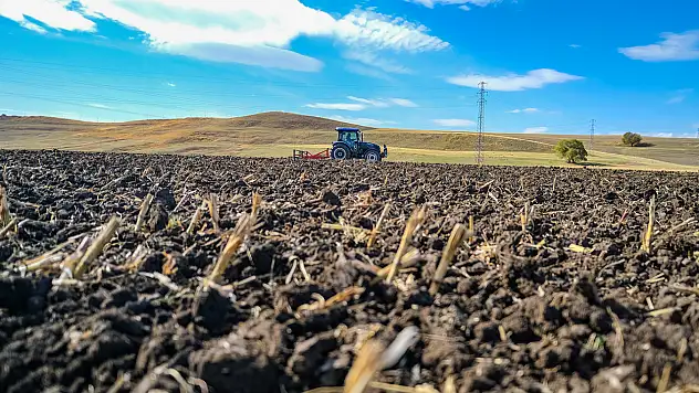 Tarım alanında 2025'te 60 yeni çeşit tescillendi