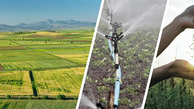 Tarım Bakanlığı'ndan Çiftçilere 47,6 Milyon TL Destek Ödemesi