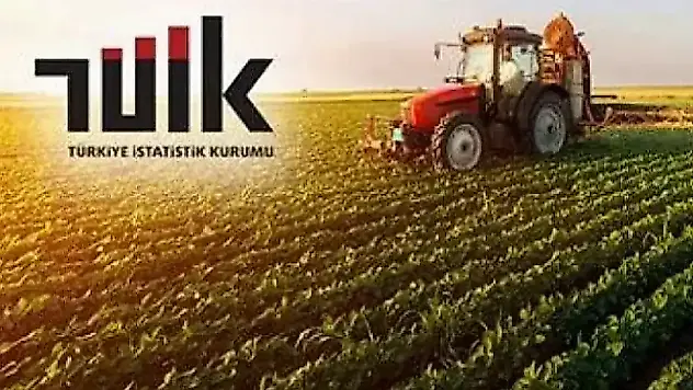 Tarım-GFE Şubat'ta Yükseldi: Yıllık Artış %31,55
