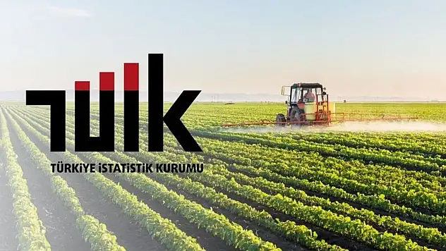 Tarım Girdi Fiyatları Temmuz'da Yükselişini Sürdürdü: Aylık Artış yüzde 3,68