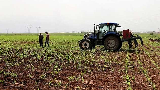Tarım-ÜFE Temmuzda Yüzde 18,81 Arttı: Sebze Fiyatlarında Yıllık Artış Yüzde 84'ü Aştı