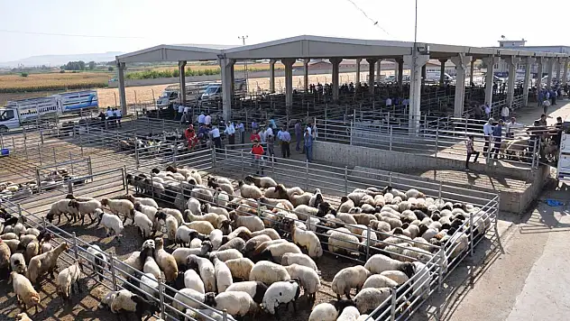 Tarım ve Orman Bakanlığından 'yapay et' iddialarına yanıt