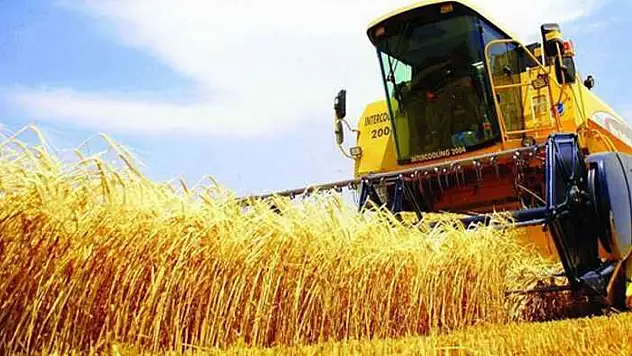 Tarımda üretici enflasyonu Haziran'da yükselişini sürdürdü