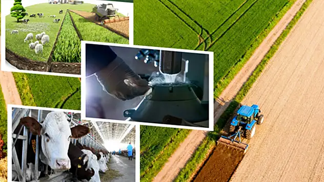 Tarımsal Destek Ödemeleri Üreticilere Ulaşıyor