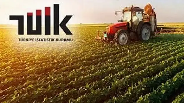 Tarımsal girdi fiyat endeksi (Tarım-GFE) yıllık yüzde 30,12 arttı, aylık yüzde 2,03 arttı