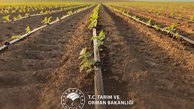 Tarımsal sulama yatırımlarına hibe desteği artırıldı