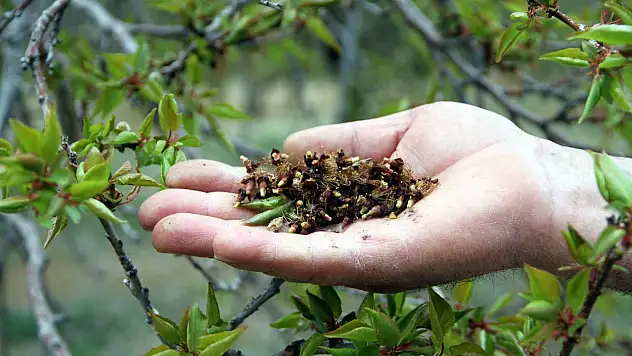 TARSİM, çiftçiyi ve sigorta üretim kanallarını mağdur ediyor