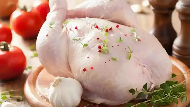 Tavuk eti üretimi arttı