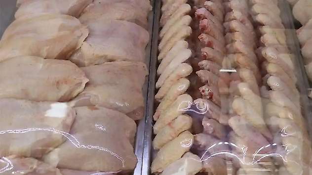 Tavuk eti üretimi haziranda 232 bin 238 tona yükseldi