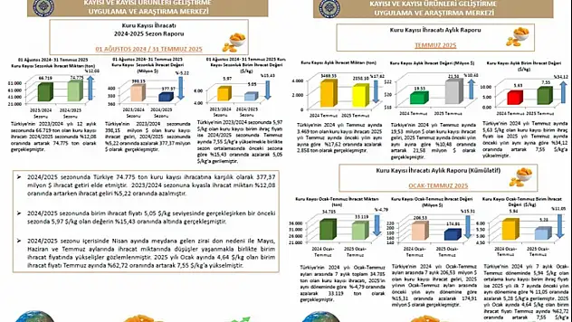 Temmuz 2025 dönemine ait Kuru Kayısı Dış Ticaret Raporu Yayımlandı