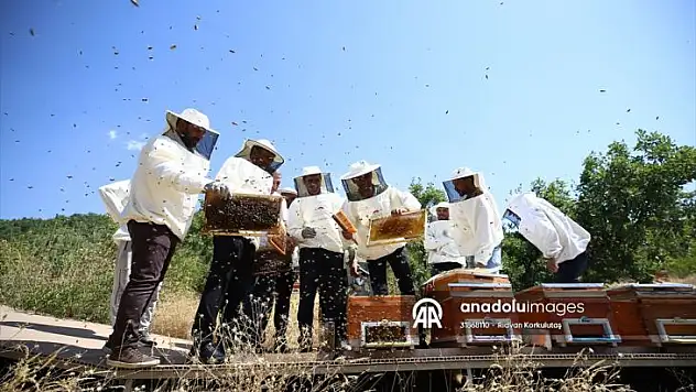 Tescilli Bingöl balında hasat başladı