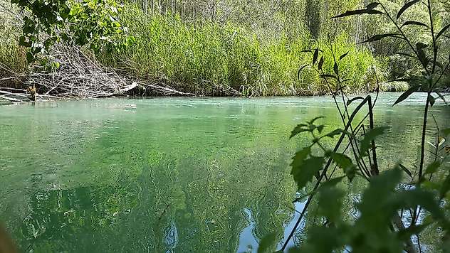 Tohma Çayı'nın Ekolojik Sağlığı Bilimsel Olarak Ortaya Kondu