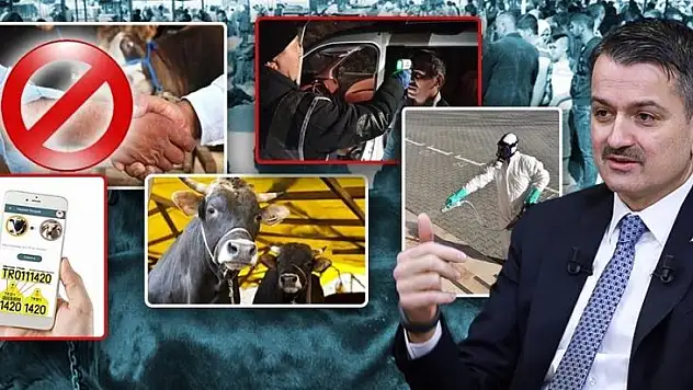 Tokalaşarak hayvan satış işlemi olmayacak