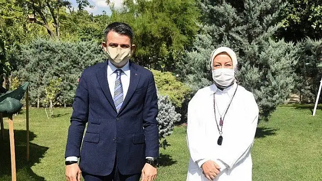 Toprak Mahsulleri Ofisi (TMO) kayısı alınıma başlıyor