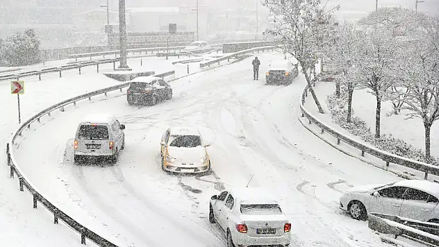 Trabzon, Rize, Gümüşhane ve Bayburt'ta Yaylalar Beyaza Büründü