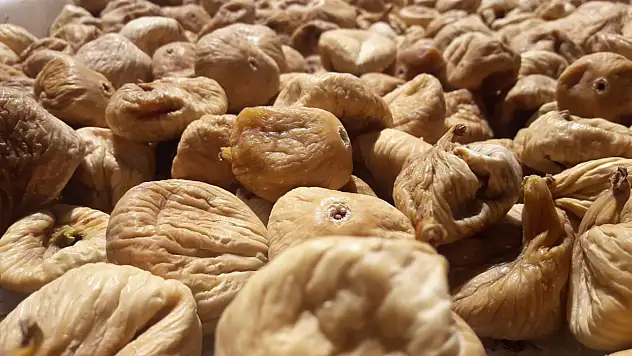 Türk Kuru İncirinde Güvenlik Atağı: Mikotoksinle Mücadele, İhracatta Rekor Artış