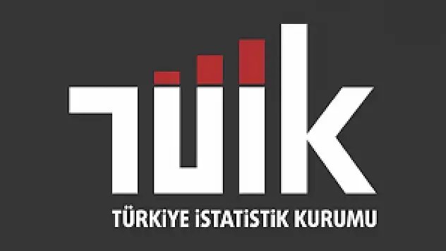 Ülkemizde turizm geliri geçen yılın aynı çeyreğine göre yüzde 13,1 arttı.