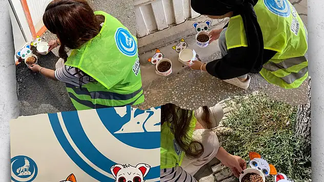 Ülkü Ocakları Malatya'dan Örnek Davranış: Sokak Hayvanlarına Destek Eli Uzandı
