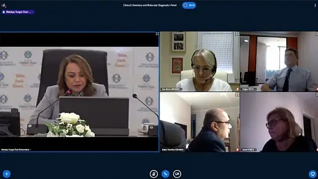 Uluslararası E Panel'e 7 ülkeden 10 bilim insanı katıldı