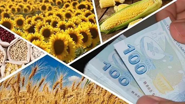 Üreticilere 651 Milyon Liralık Destek Ödemesi Başladı
