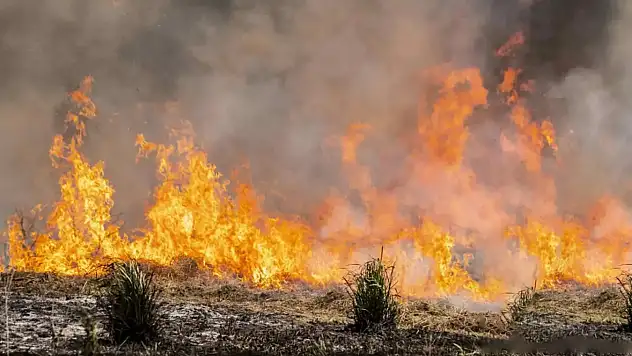 Uşak ve Manisa'daki yangınlar kontrol altında: 3 kişi gözaltında