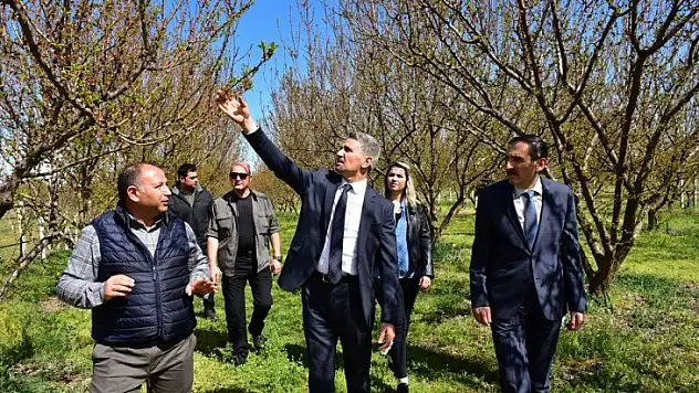 Vali Baruş Zirai Don Nedeniyle Hasar Gören Kayısı Bahçelerinde İncelemelerde Bulundu