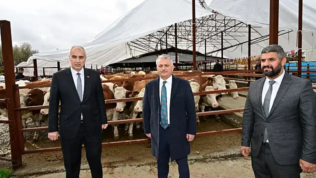 Vali Ersin Yazıcı Büyükbaş Hayvan ve Sıvat Dağıtım Programına Katıldı