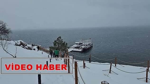 Van Gölü'nün Mucizesi: İnci Kefalinin Zorlu Göç Yolculuğu