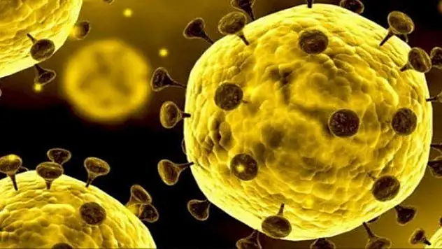 Virüsü 3 saniyede yok ediyor! Türkiye harekete geçti