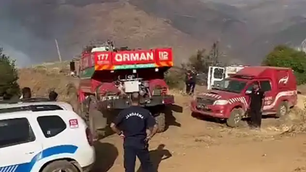 Yaklaşık 100 hektarlık alan yangından etkilendi