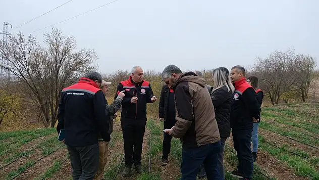 Yarımcahan'da Safran Atağı: Dekarda 900 Gram Başarı