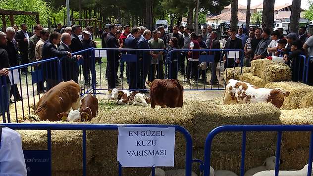 Yazıhan'da Dünya Çiftçiler Günü Şenlikle Kutlandı