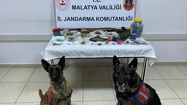 Yazıhan'da uyuşturucu operasyonu