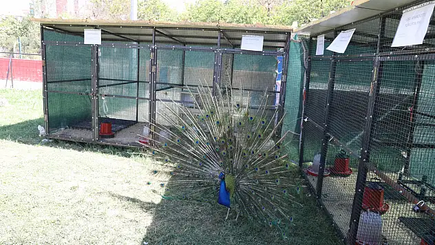 Yeni Uygulama Taktir Topluyor