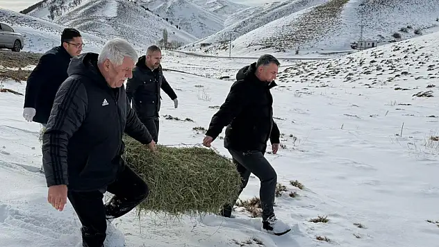 Yeşilyurt Belediyesi'nden Yaban Hayatına Yem Desteği!