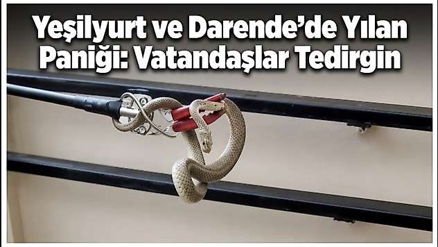 Yeşilyurt ve Darende'de Yılan Paniği: Vatandaşlar Tedirgin