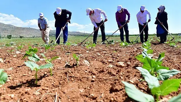 Yeşilyurt'ta Tarımsal Üretim Ve Ar-Ge Sahası Kurdu