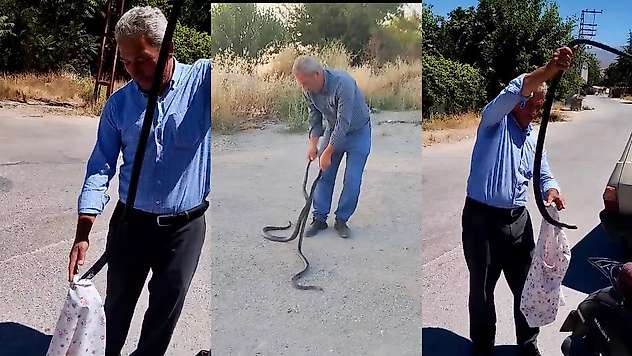 'Yılan Savar Muhtar'dan Bir Müdahale Daha: 1,5 Metrelik İki Kara Yılanını Elleriyle Yakaladı