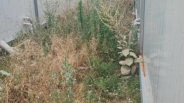 Yıldız, konteynerlerde yaşanan sorunlarla ilgili açıklama yaptı