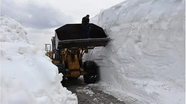 Yoğun Kar Yağışı: Düzce'de 224 Santimlik Rekor