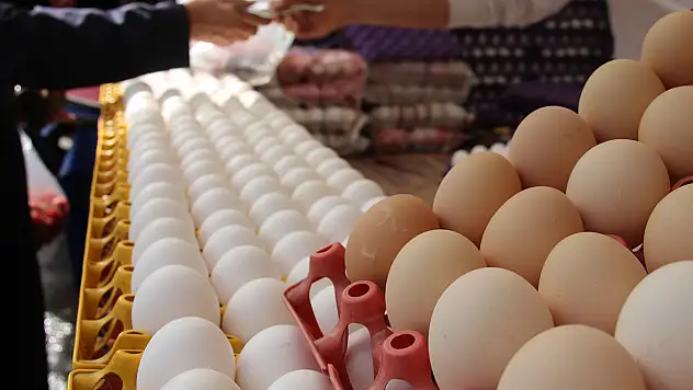 Yumurta fiyatları düştü talepler arttı