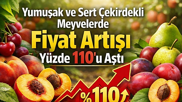Yumuşak ve Sert Çekirdekli Meyvelerde Fiyat Artışı Yüzde 110'u Aştı