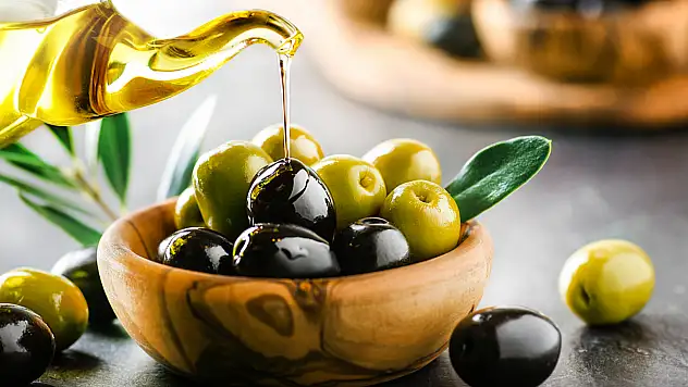 Zeytinde İhracat Rekoru