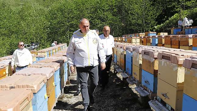 Arıcılık desteklerine yüzde 80 zam: Kovan başına destek 475 TL'ye kadar çıktı