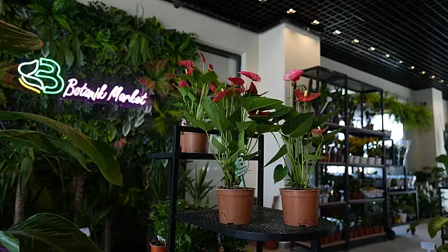 Battalgazi'de Yeşil Alan Atağı Sürüyor