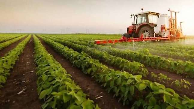 Tarım Ürünlerinde Üretici Fiyatları Ağustos'ta Düştü