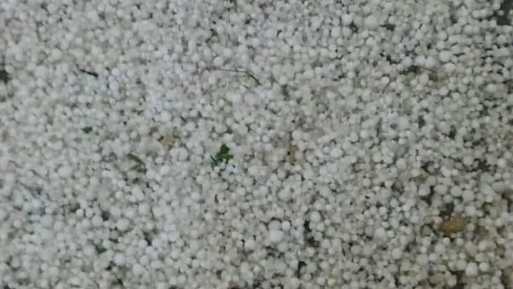 Ağbaba 'Felaketi Önlemek Mümkün Değil, Ama Zararı Karşılamak Mümkün'