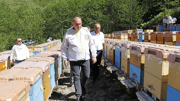 Arıcılık desteklerine yüzde 80 zam: Kovan başına destek 475 TL’ye kadar çıktı