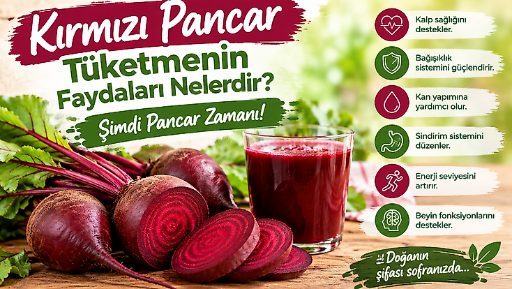 Kırmızı Pancar Tüketmenin Faydaları Nelerdir? Şimdi Pancar Zamanı!