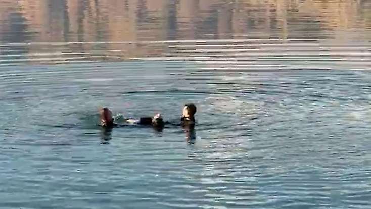 Malatya'da barajda erkek cesedi bulundu